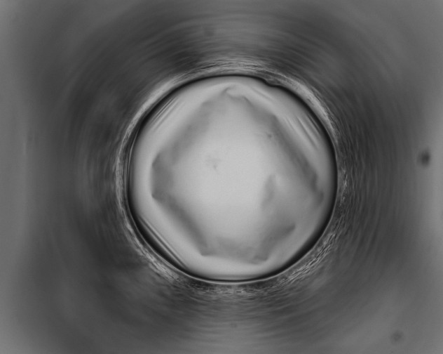 X0000099961243200806201330