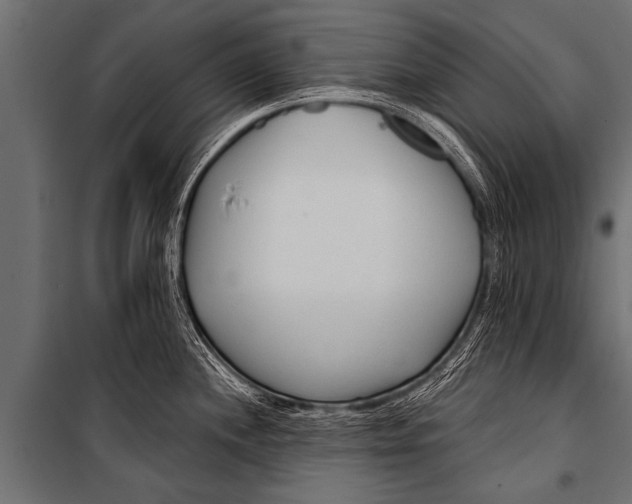 X0000099961244200806201330