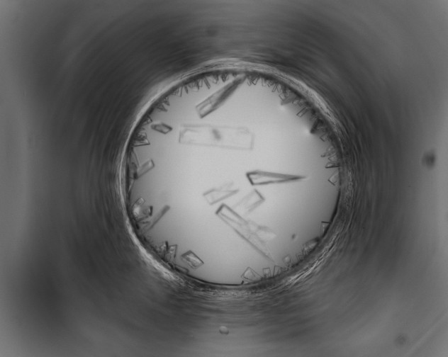 X0000099961247200806201330