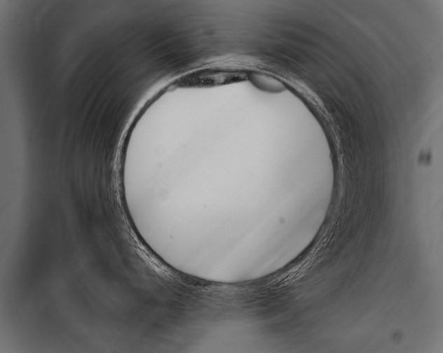 X0000099961248200806201330