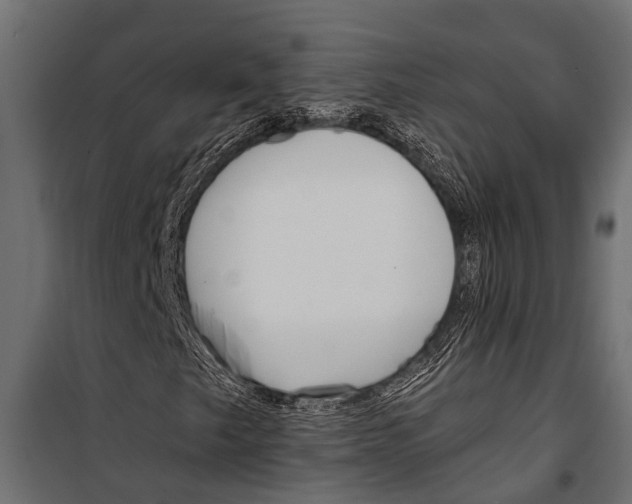 X0000099961249200806201329