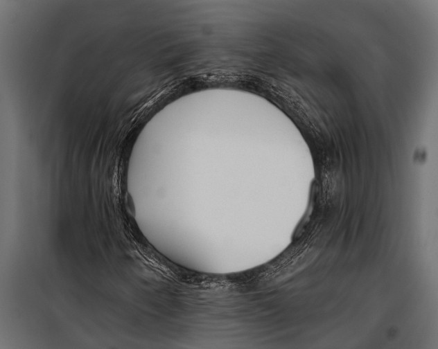 X0000099961250200806201329