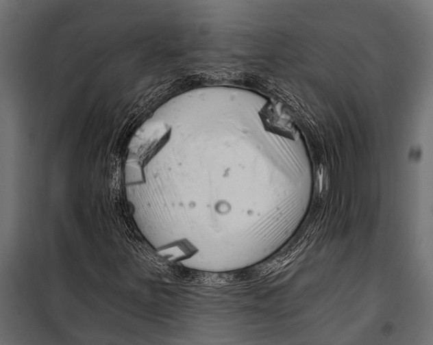 X0000099961251200806201329