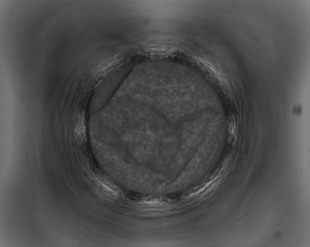 X0000099961252200806201329