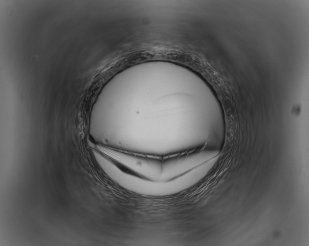 X0000099961253200806201329