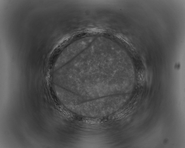 X0000099961254200806201329