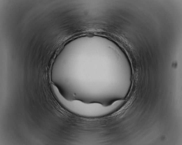 X0000099961257200806201329