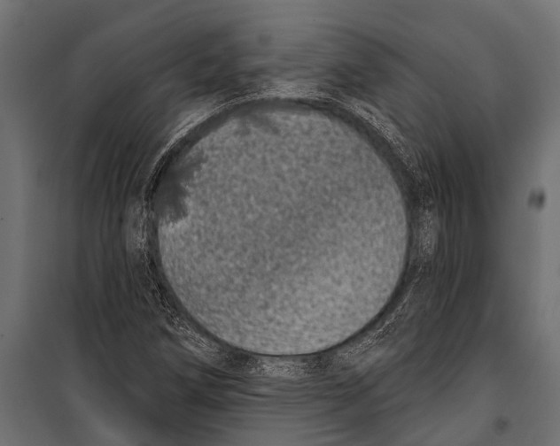 X0000099961258200806201329