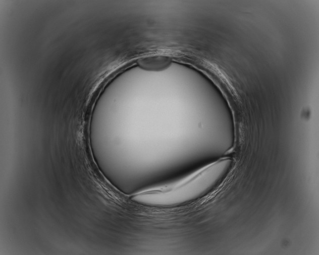 X0000099961260200806201329