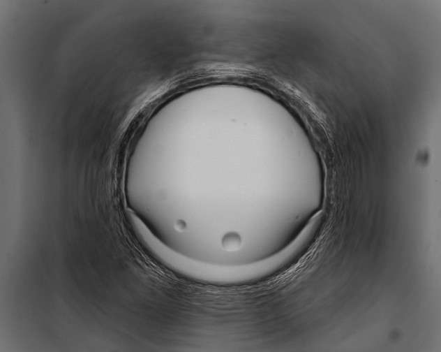 X0000099961261200806201329