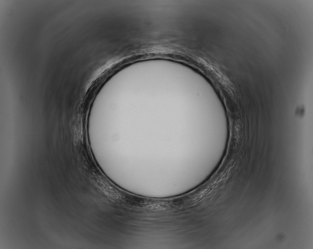 X0000099961262200806201329