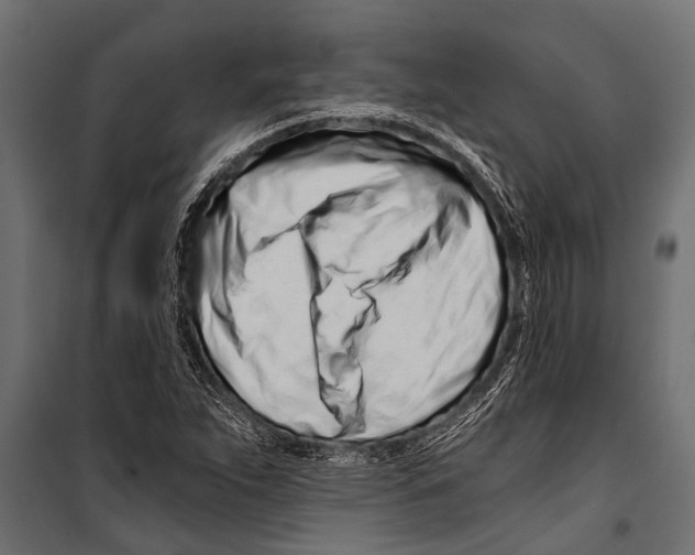 X0000099961263200806201329