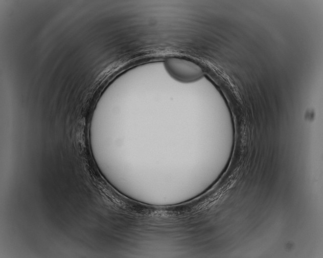 X0000099961265200806201329