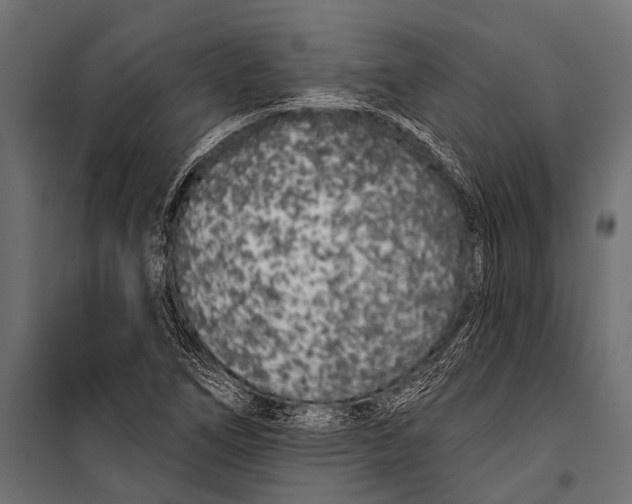 X0000099961266200806201329