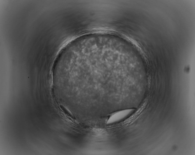 X0000099961267200806201329