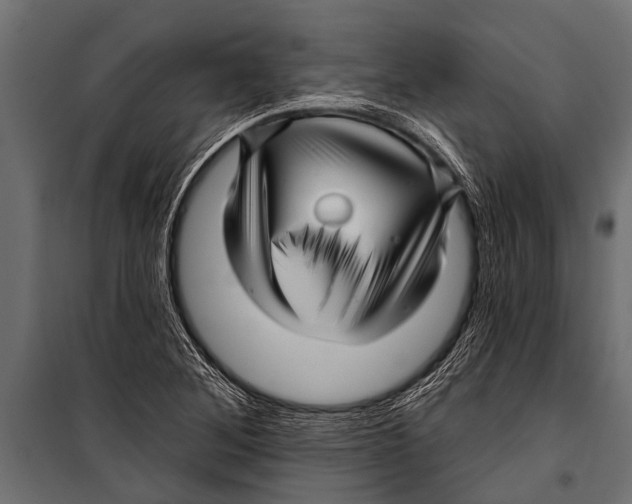 X0000099961268200806201329