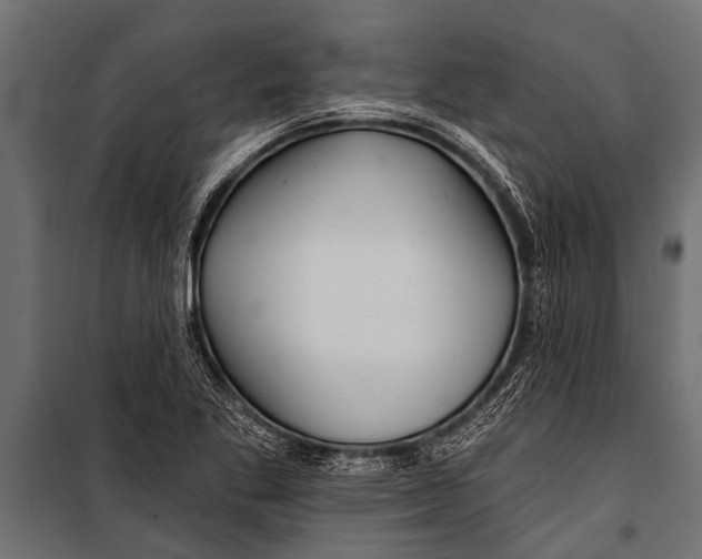 X0000099961269200806201329