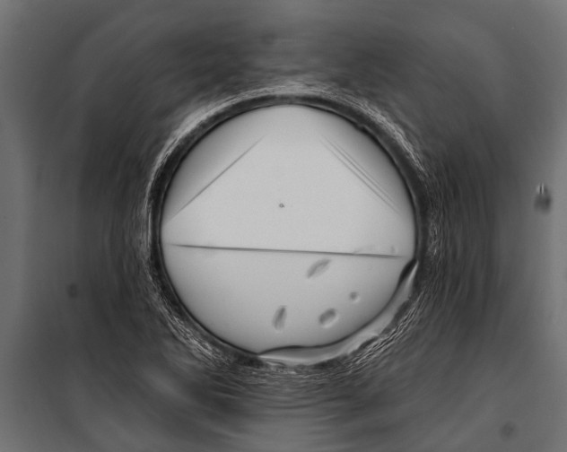 X0000099961270200806201329