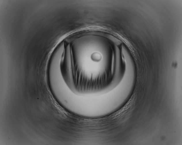 X0000099961272200806201329