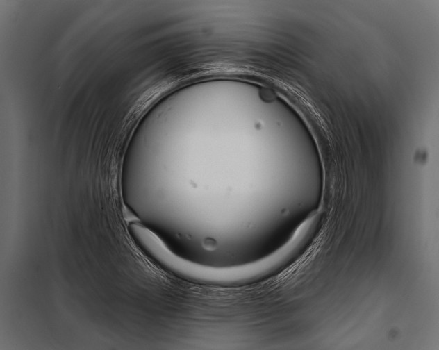 X0000099961273200806201329