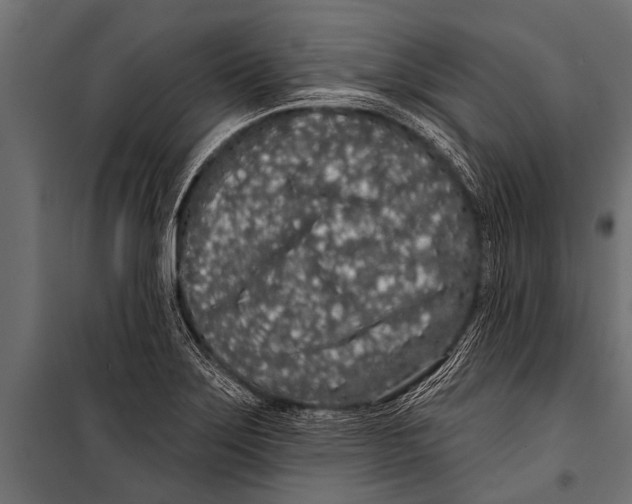 X0000099961275200806201329