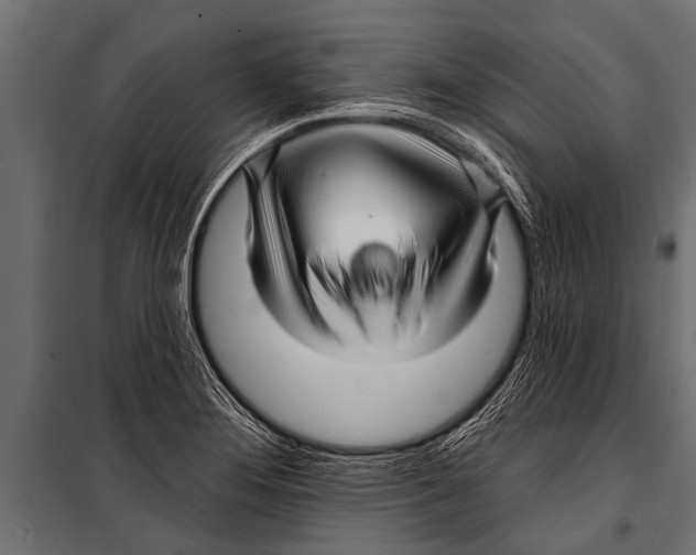 X0000099961276200806201329