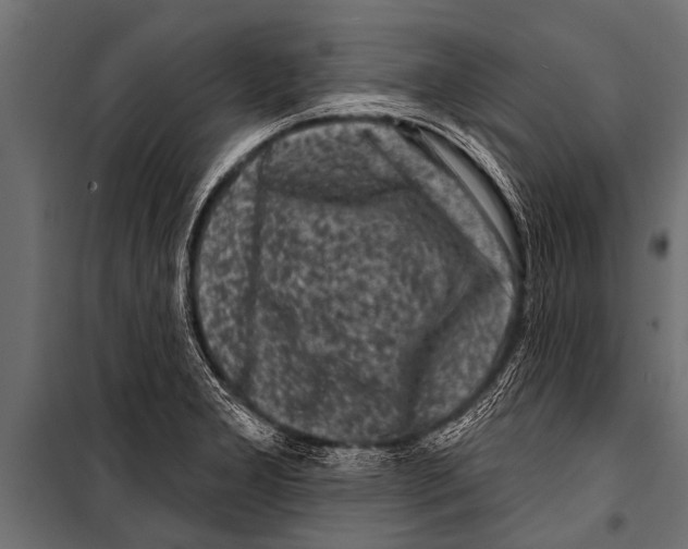 X0000099961277200806201329