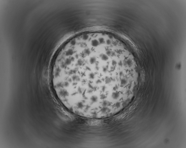 X0000099961278200806201328