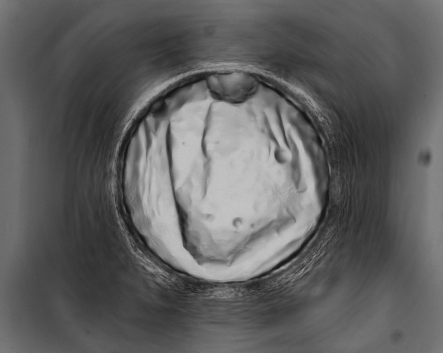 X0000099961279200806201328