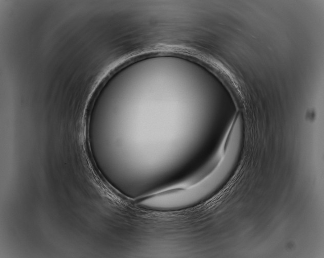 X0000099961280200806201328