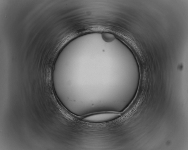 X0000099961281200806201328