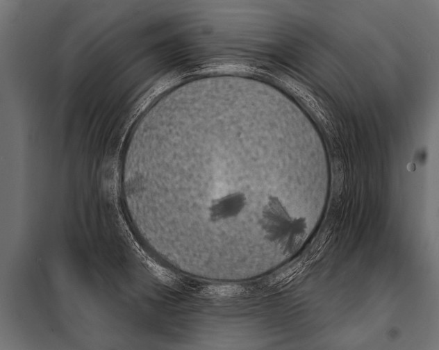 X0000099961282200806201328