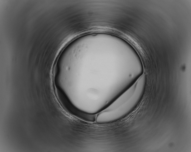 X0000099961283200806201328