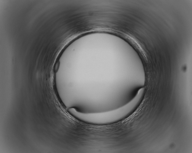 X0000099961284200806201328