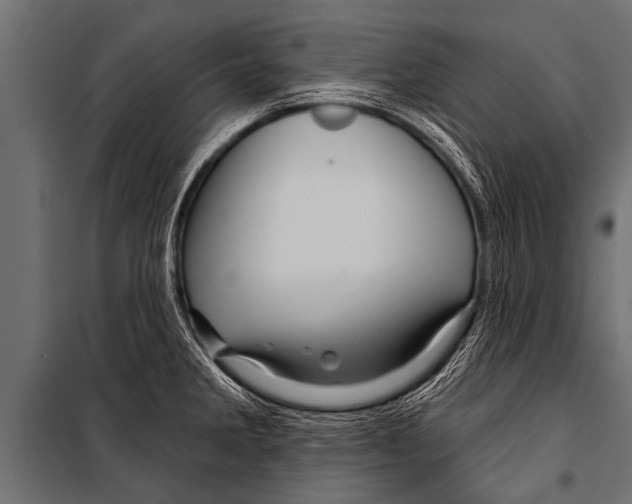 X0000099961285200806201328