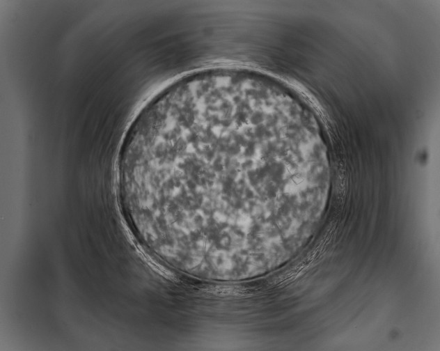 X0000099961287200806201328