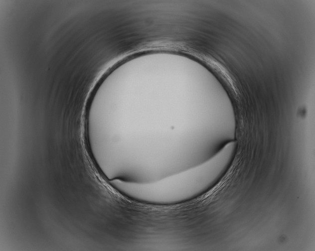 X0000099961288200806201328