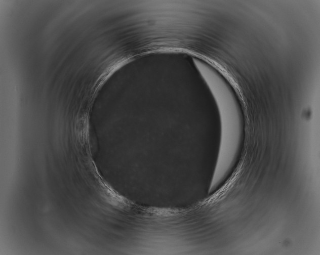 X0000099961289200806201328