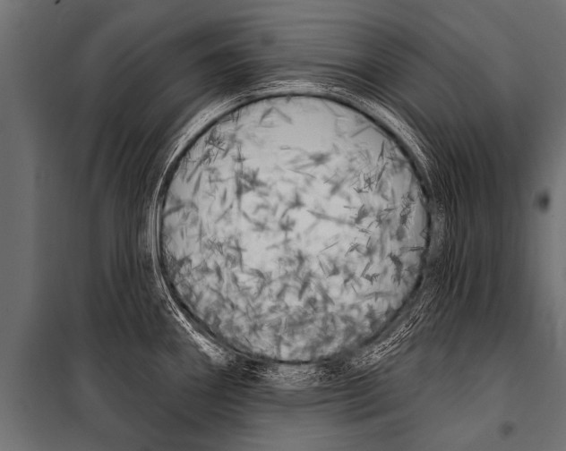 X0000099961290200806201328