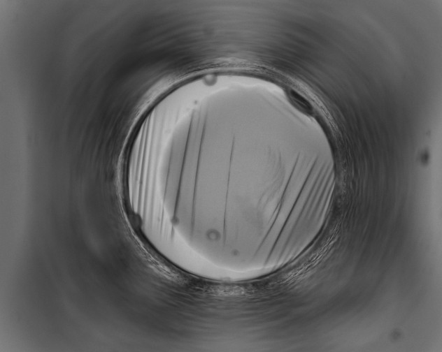 X0000099961291200806201328