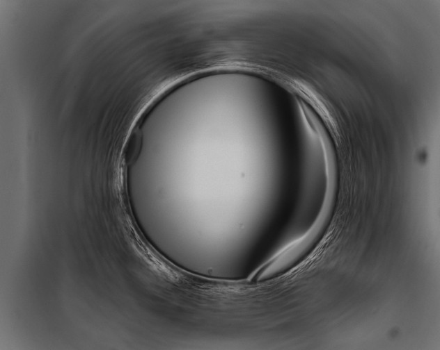 X0000099961292200806201328