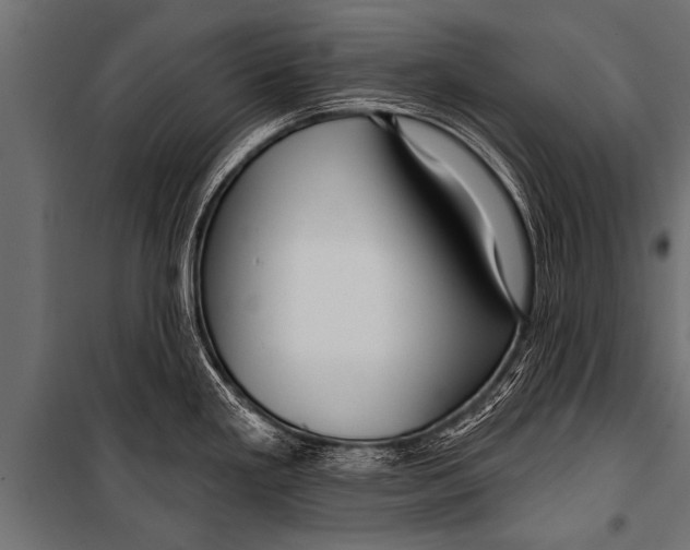 X0000099961293200806201328