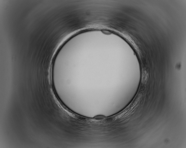 X0000099961295200806201328