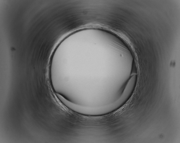 X0000099961296200806201328