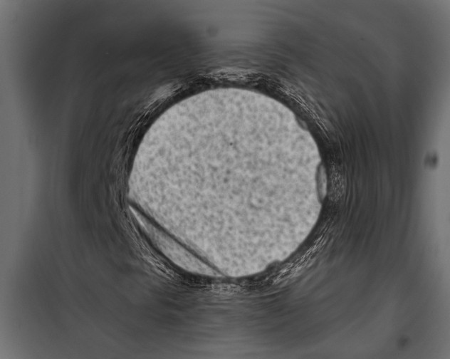 X0000099961297200806201327