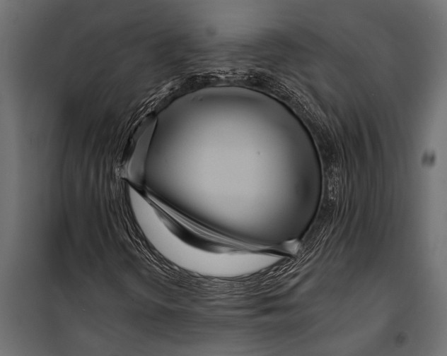 X0000099961298200806201327