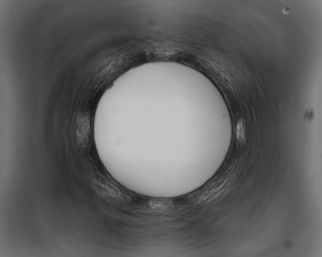 X0000099961299200806201327