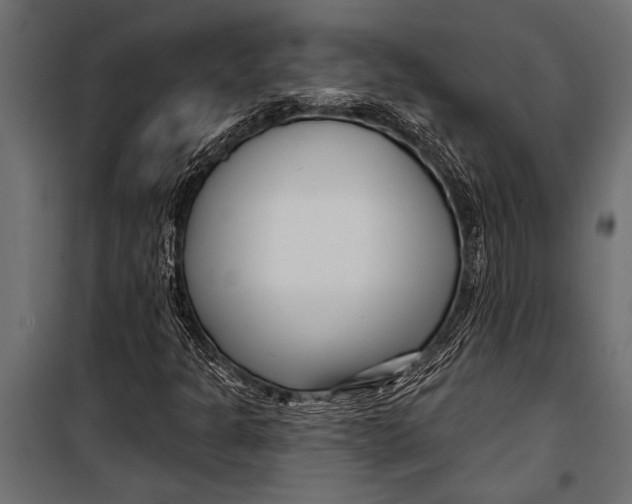 X0000099961301200806201327