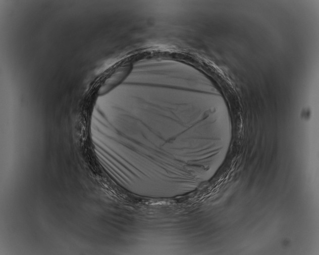 X0000099961303200806201327