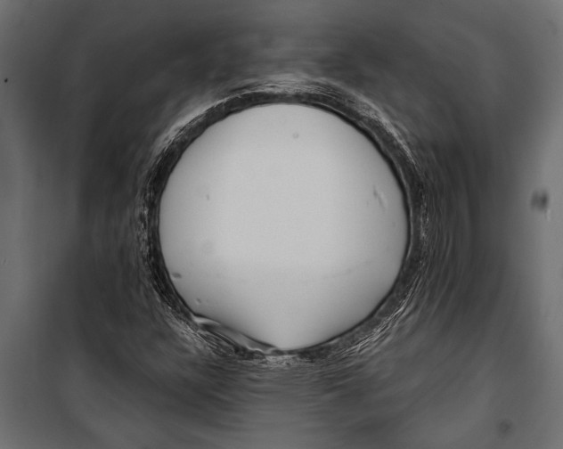 X0000099961304200806201327